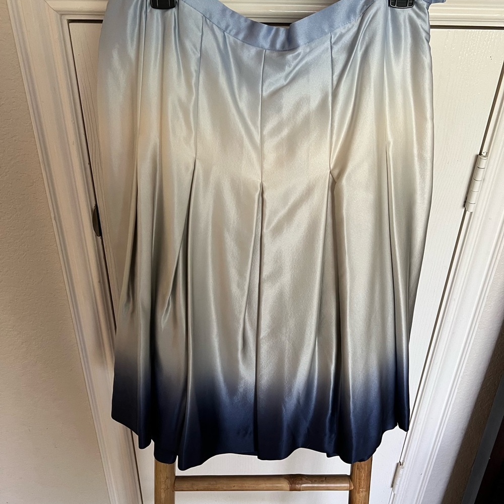 Elegant Dana Buchman Ombre Skirt